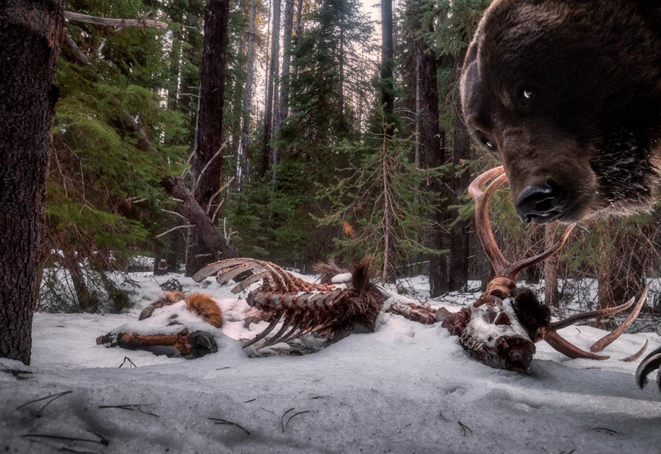 The other side to IT